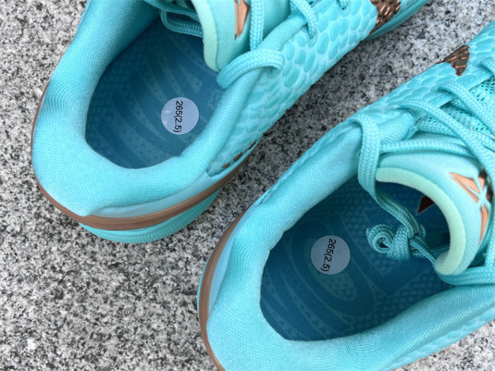 Authentic Jalen Brunson's Nike Kobe 6  Statue of Liberty  PE