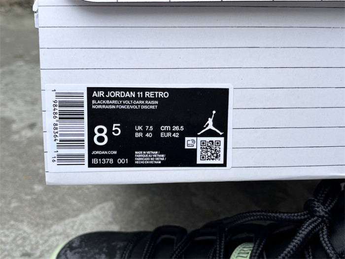 Authentic Air Jordan 11 “Sneaker School”