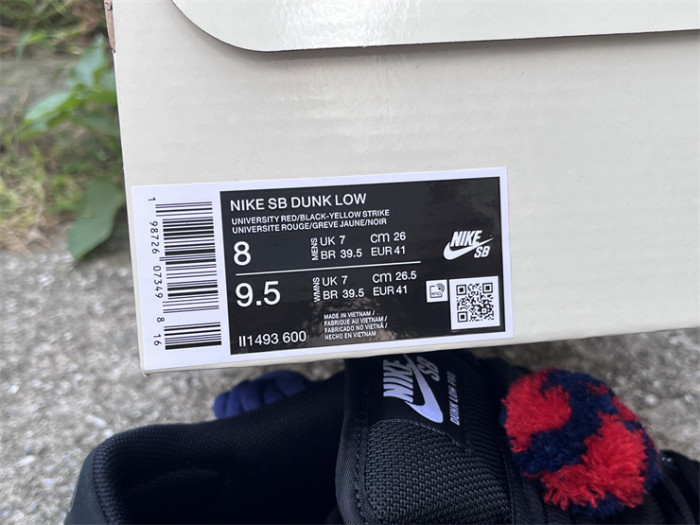 Authentic Nardwuar's Nike SB Dunk Low