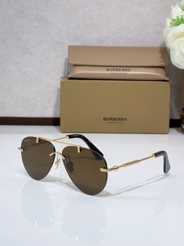 Burberry Sunglasses AAAA-3274