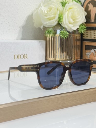 Dior Sunglasses AAAA-4109