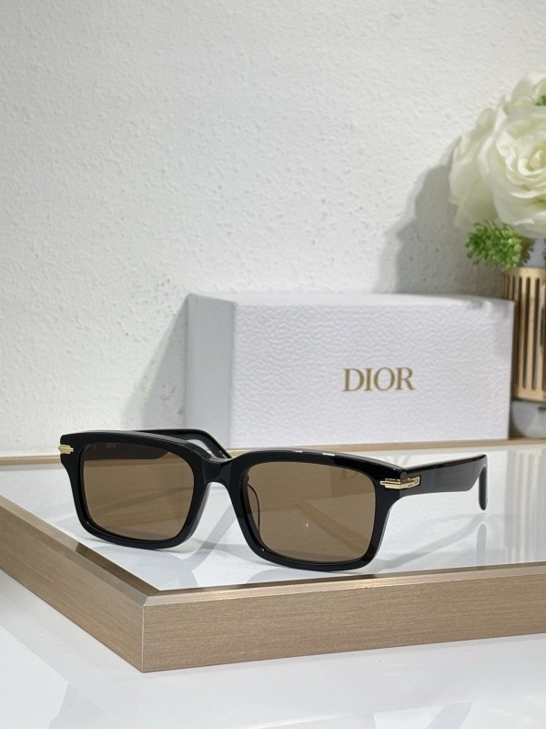 Dior Sunglasses AAAA-3980