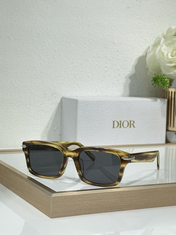 Dior Sunglasses AAAA-3981