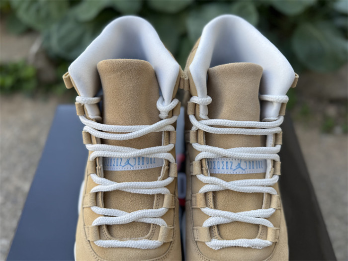 Authentic Air Jordan 11 H-Town