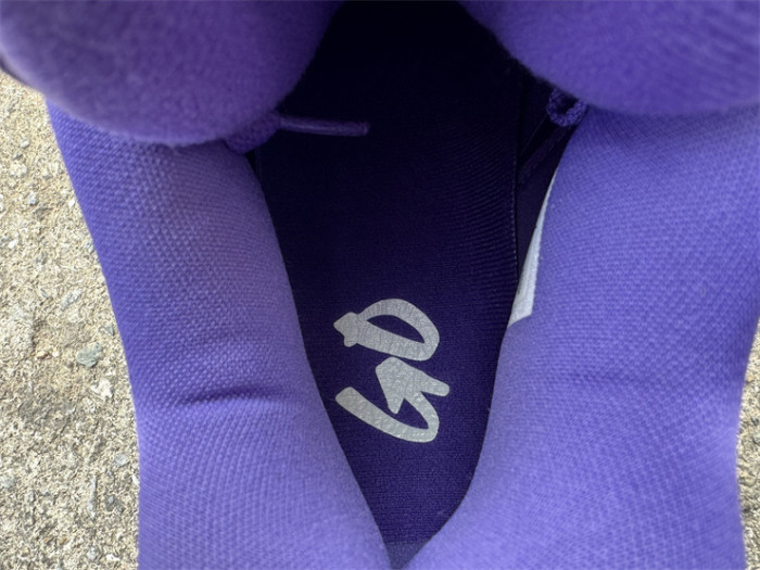 Authentic Air Jordan 4 Nigel Brick by Brick Purple