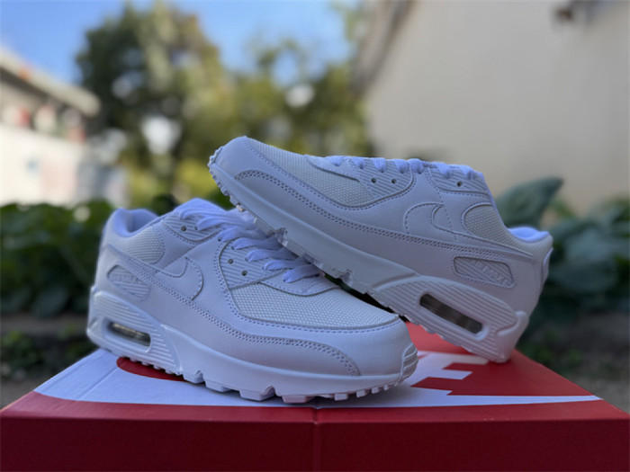 Authentic Air Max 90 Shoes-006