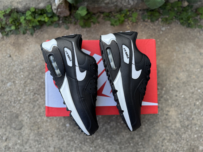 Authentic Air Max 90 Shoes-003