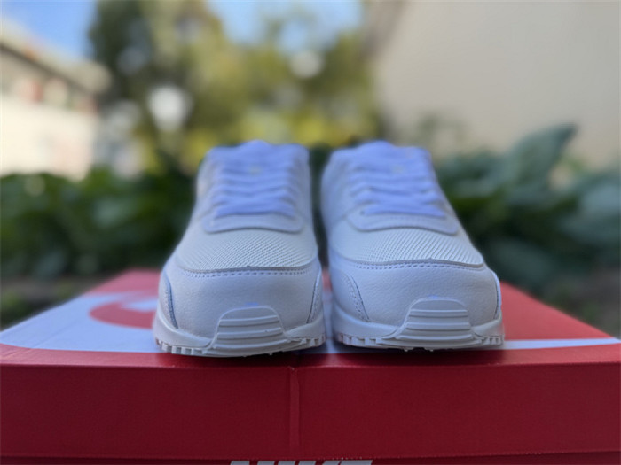 Authentic Air Max 90 Shoes-006