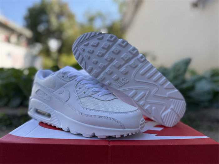 Authentic Air Max 90 Shoes-006