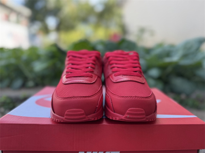 Authentic Air Max 90 Shoes-005