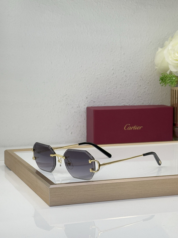 Cartier Sunglasses AAAA-10881