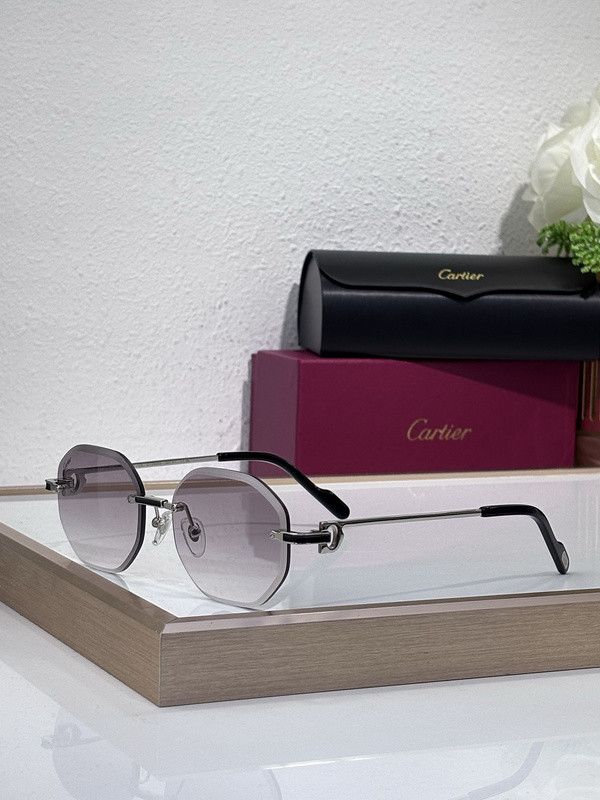 Cartier Sunglasses AAAA-10372