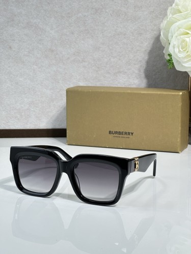 Burberry Sunglasses AAAA-3449