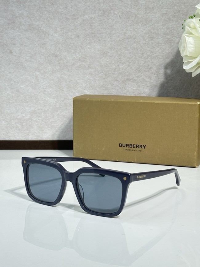Burberry Sunglasses AAAA-3454