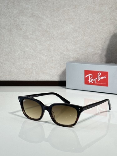 RB Sunglasses AAAA-108