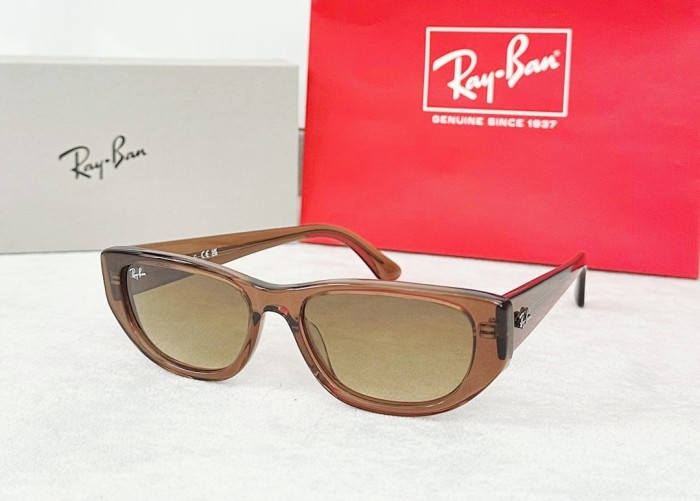 RB Sunglasses AAAA-558