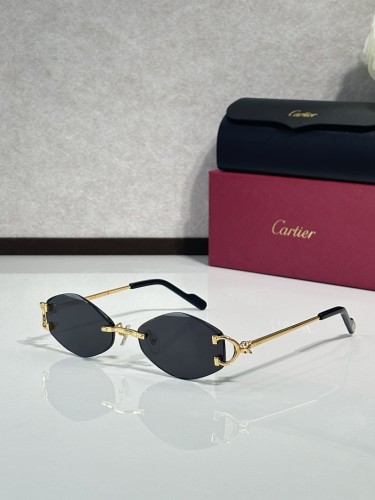 Cartier Sunglasses AAAA-11450