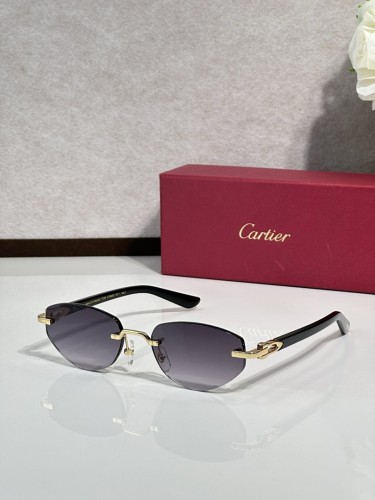 Cartier Sunglasses AAAA-12105