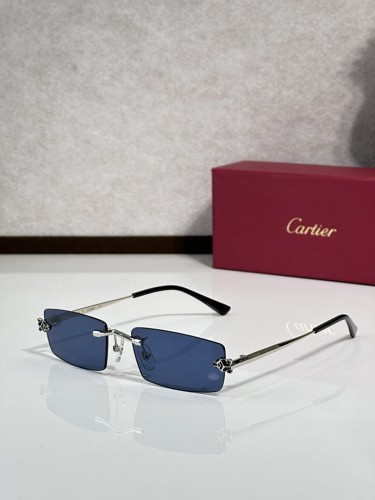 Cartier Sunglasses AAAA-11904