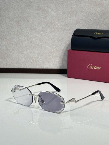 Cartier Sunglasses AAAA-11641