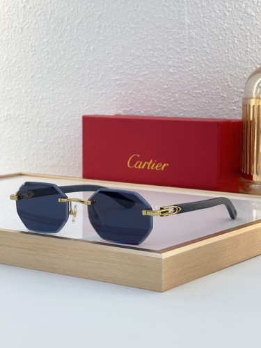 Cartier Sunglasses AAAA-11745