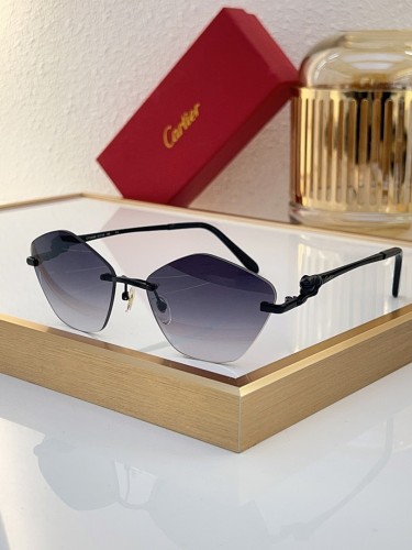 Cartier Sunglasses AAAA-11570