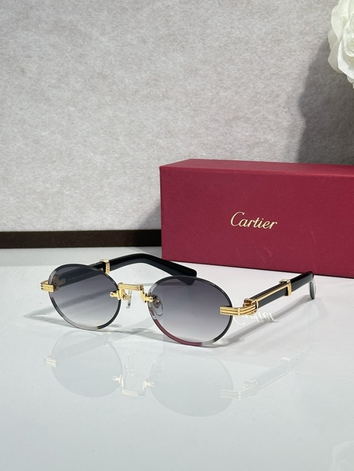 Cartier Sunglasses AAAA-12312