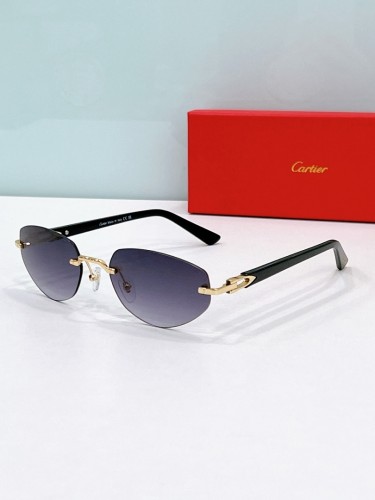 Cartier Sunglasses AAAA-12677