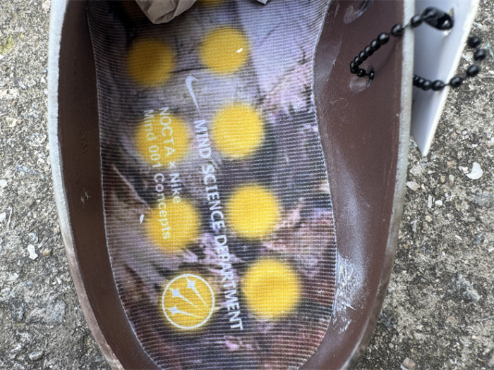 Nike Mind 001 Brown