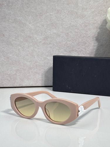 Dior Sunglasses AAAA-4953