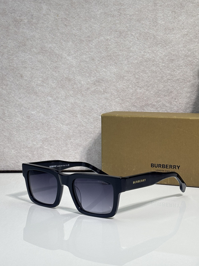 Burberry Sunglasses AAAA-3528