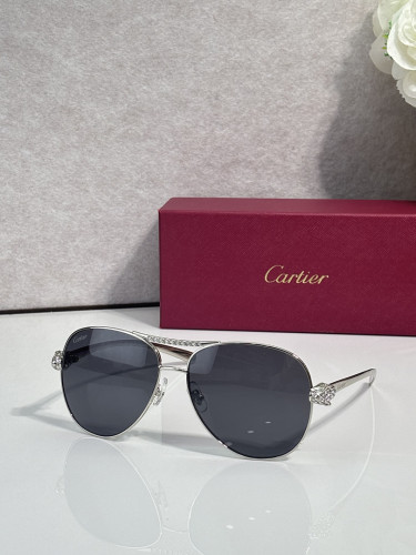 Cartier Sunglasses AAAA-14610