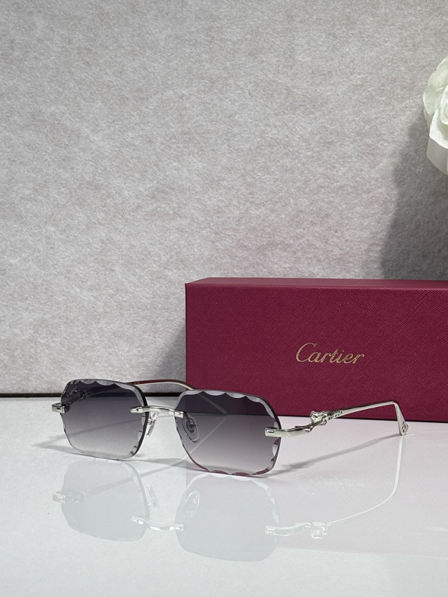 Cartier Sunglasses AAAA-14434
