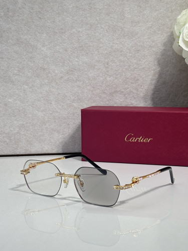 Cartier Sunglasses AAAA-14577
