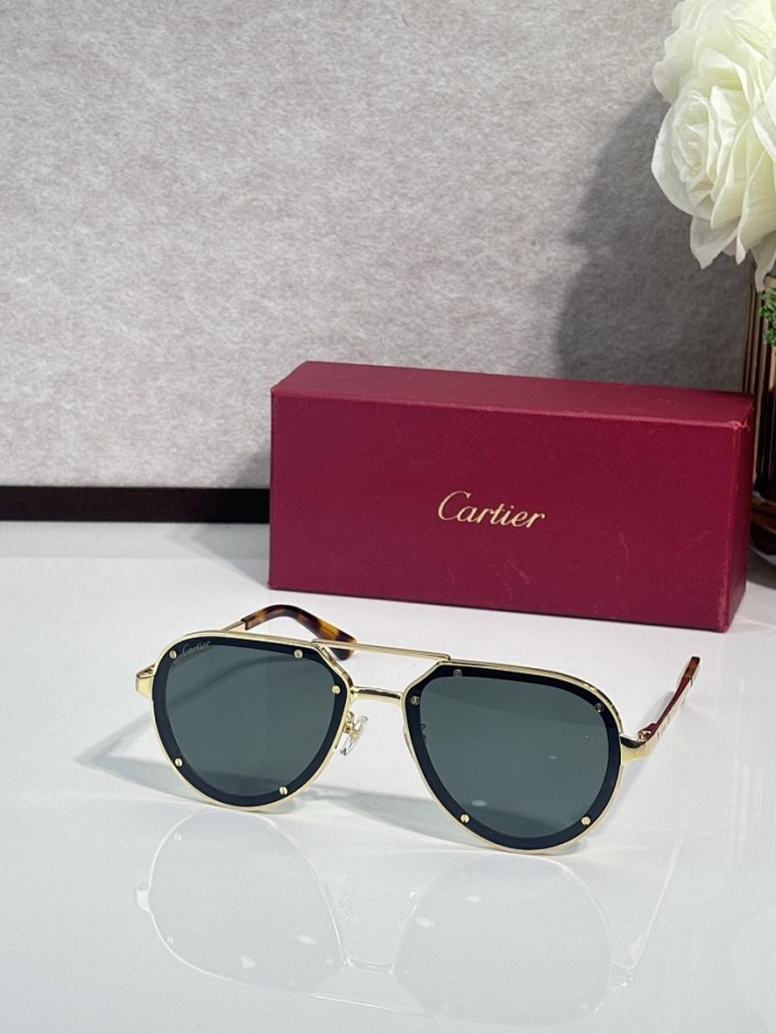Cartier Sunglasses AAAA-13139