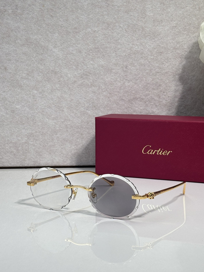 Cartier Sunglasses AAAA-14495