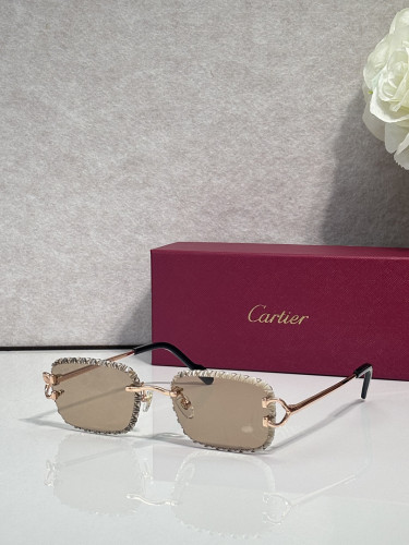 Cartier Sunglasses AAAA-14483