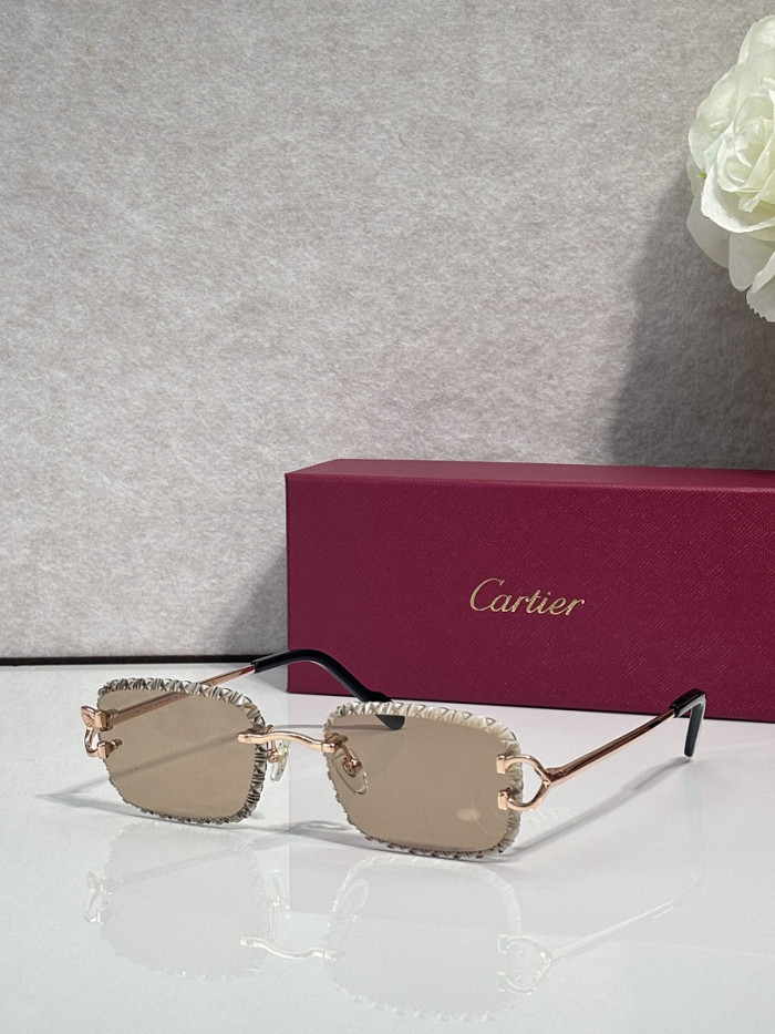 Cartier Sunglasses AAAA-14483