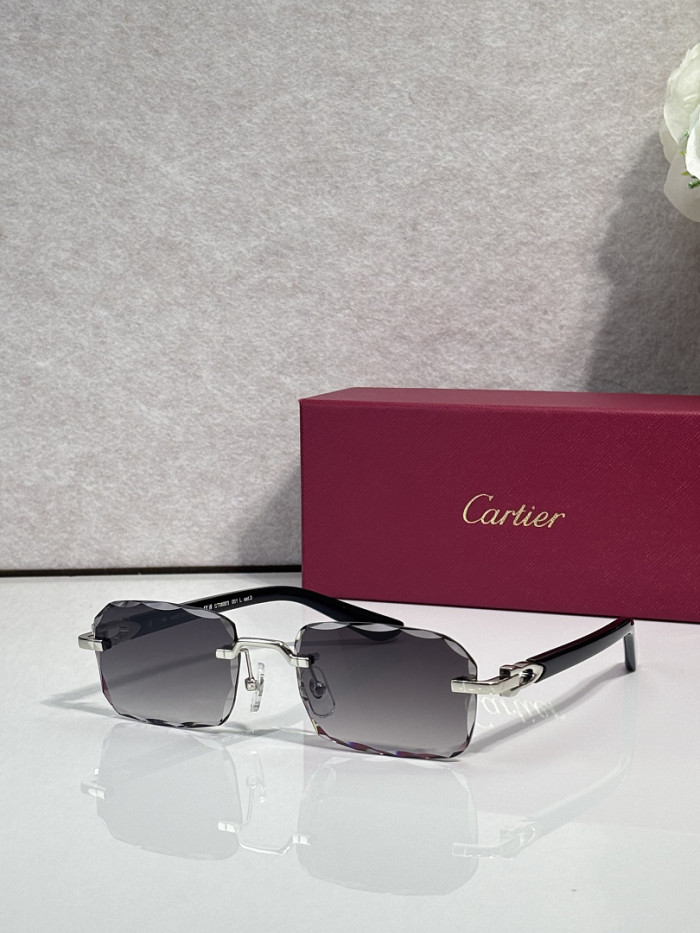 Cartier Sunglasses AAAA-13978