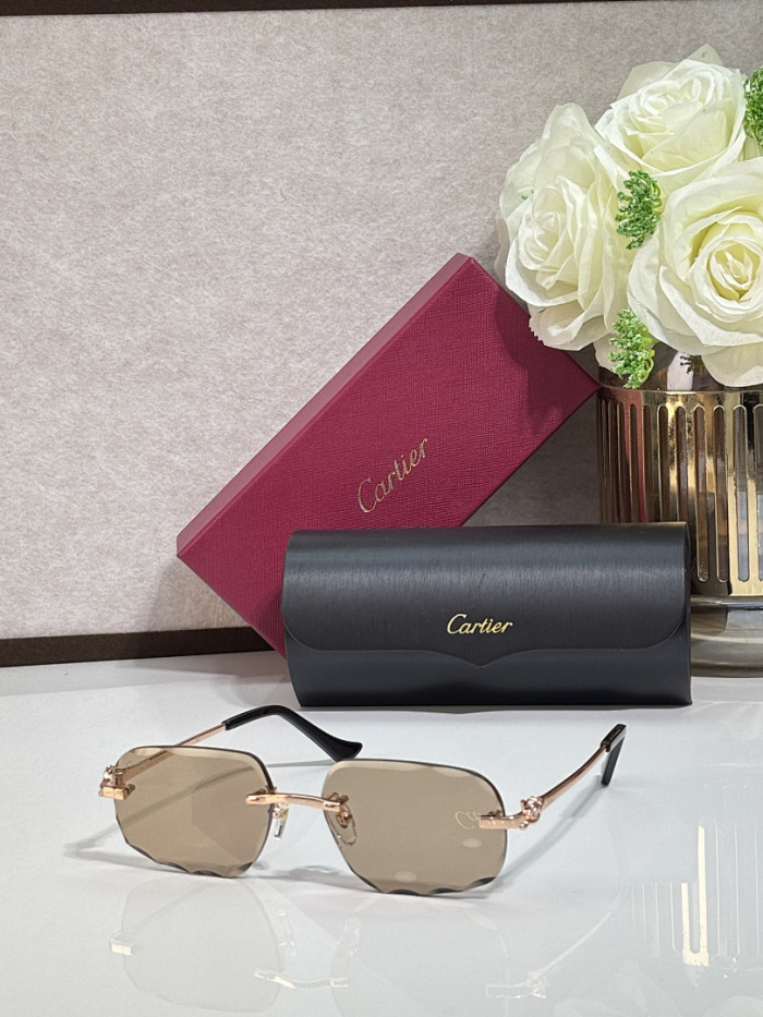 Cartier Sunglasses AAAA-13509