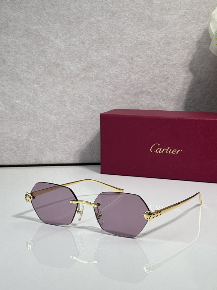 Cartier Sunglasses AAAA-13995