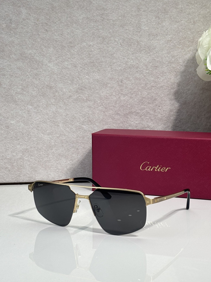 Cartier Sunglasses AAAA-13819