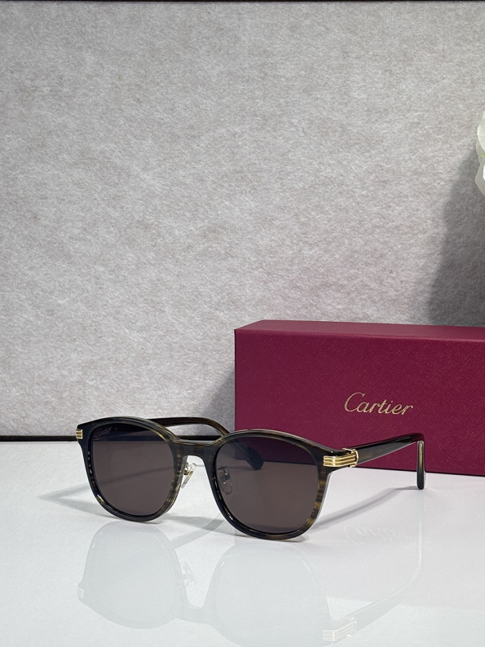 Cartier Sunglasses AAAA-13722