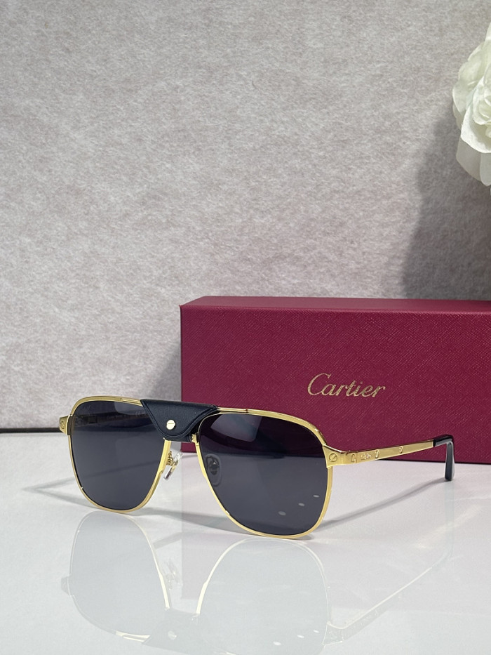 Cartier Sunglasses AAAA-13574