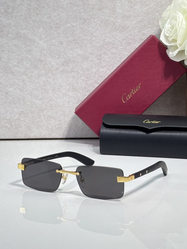Cartier Sunglasses AAAA-14080