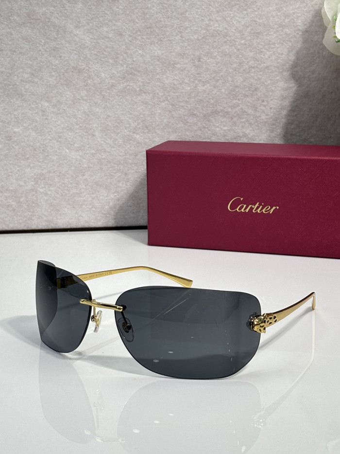 Cartier Sunglasses AAAA-13775