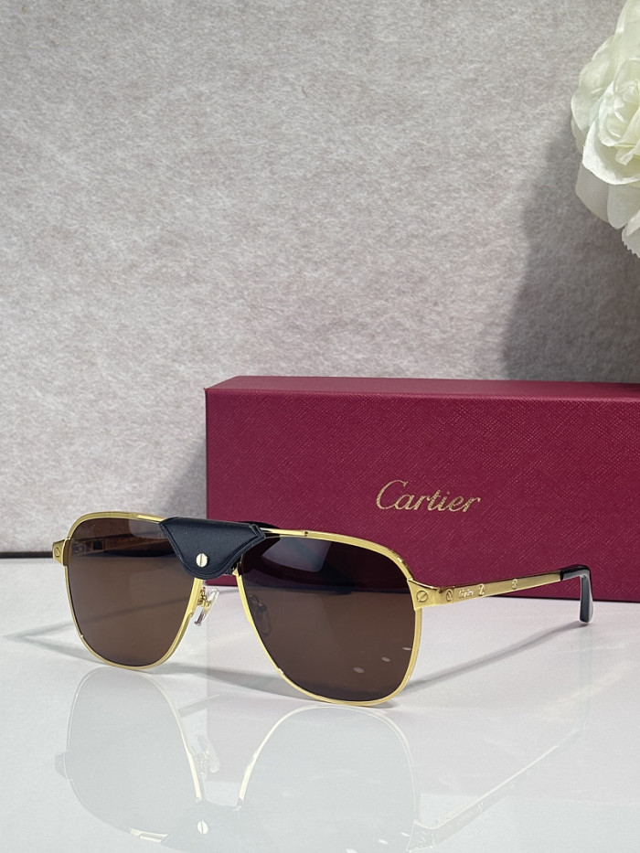 Cartier Sunglasses AAAA-13570