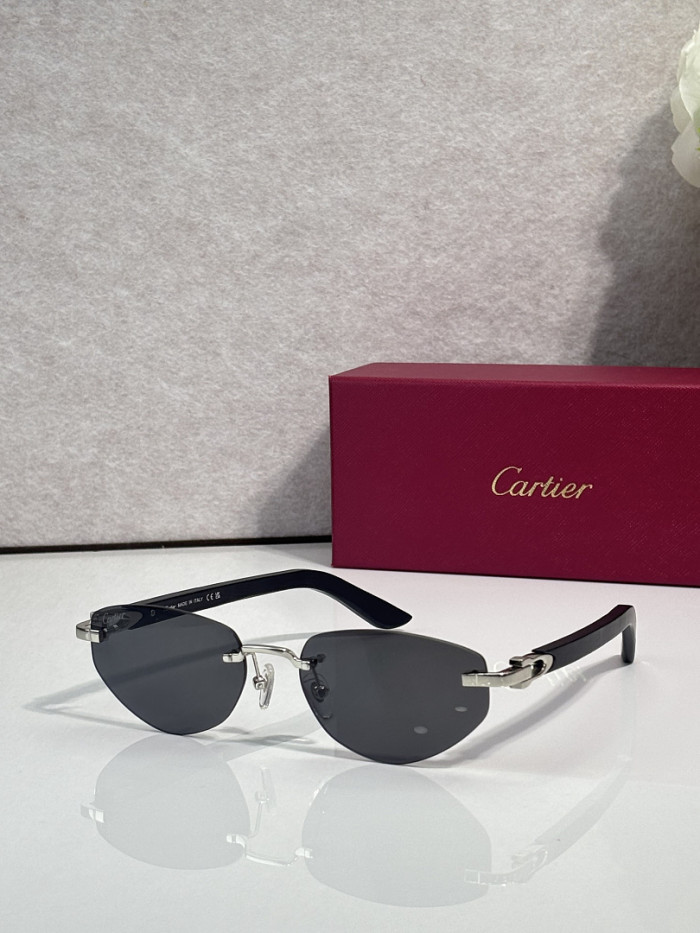 Cartier Sunglasses AAAA-13927