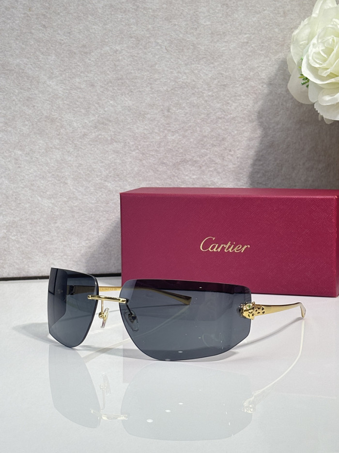 Cartier Sunglasses AAAA-13782