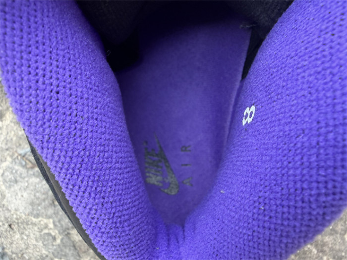 Authentic Jordan 10 OG Sacramento Kings